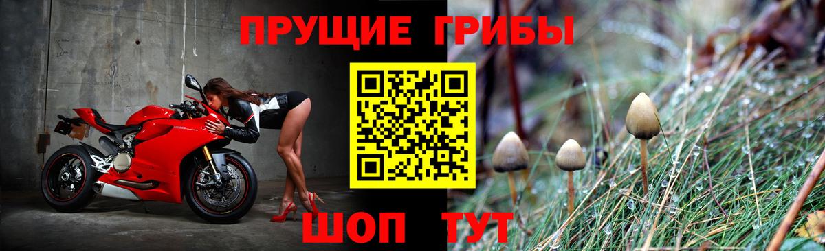 Галлюциногенные грибы Magic Shrooms Боровичи