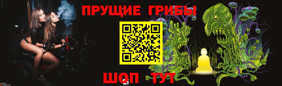 Боровичи  Галлюциногенные грибы Psilocybine cubensis  Вход с VPN 