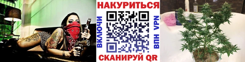 Каннабис сатива Боровичи